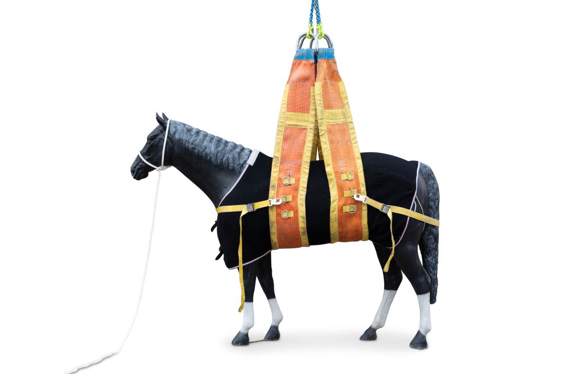 53 Webshop RescueHorse Team 2019